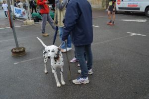 DSC_8931.JPG