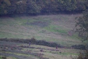 trail2016-187.jpg