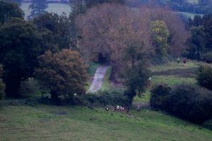 trail2016-234.jpg