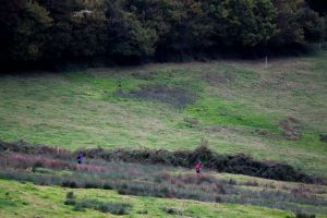 trail2016-172.jpg
