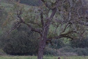 trail2016-175.jpg