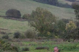 trail2016-191.jpg