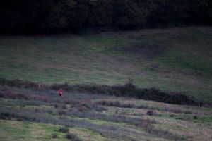 trail2016-196.jpg