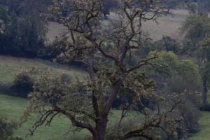 trail2016-232.jpg