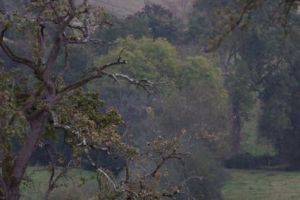 trail2016-188.jpg