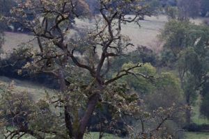 trail2016-235.jpg