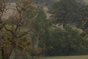 trail2016-181.jpg