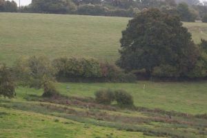trail2016-186.jpg