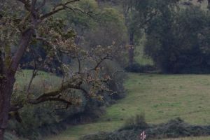 trail2016-240.jpg