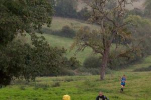 trail2016-190.jpg