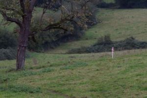 trail2016-211.jpg