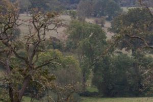 trail2016-174.jpg
