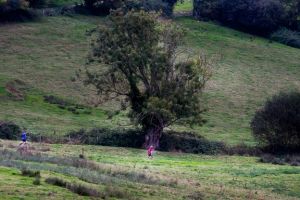 trail2016-173.jpg
