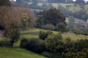 trail2016-220.jpg