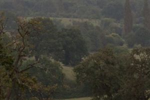 trail2016-179.jpg