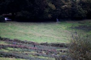 trail2016-212.jpg