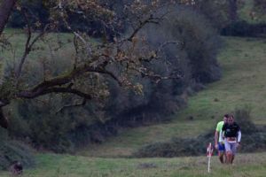 trail2016-215.jpg