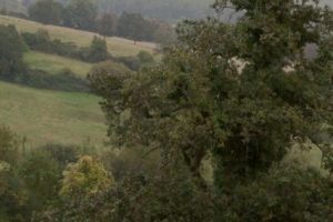 trail2016-185.jpg