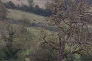 trail2016-176.jpg