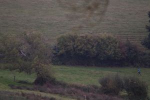 trail2016-178.jpg