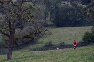 trail2016-213.jpg