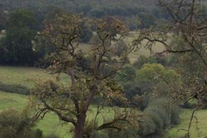 trail2016-221.jpg