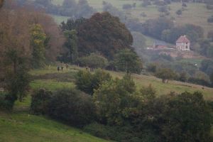 trail2016-183.jpg