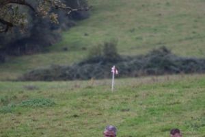 trail2016-242.jpg