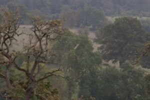 trail2016-184.jpg