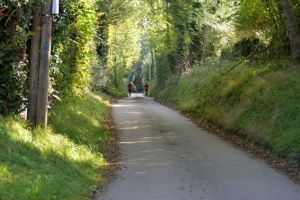 DSC_7526.JPG