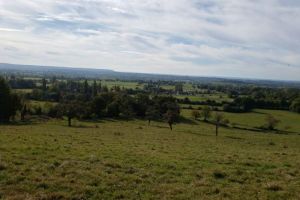 IMG-20211017-WA0046.jpg