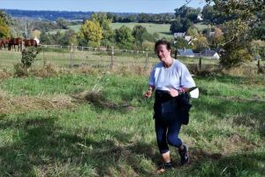 Michel 16 km et 27 km_360.JPG