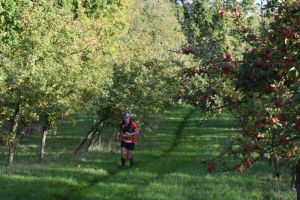 9e Trail Pom haies vergers CBR 2022 MG (145).jpg
