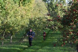 9e Trail Pom haies vergers CBR 2022 MG (144).jpg
