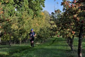 9e Trail Pom haies vergers CBR 2022 MG (153).jpg