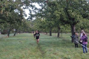 IMG_0398.JPG