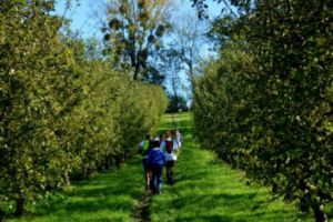 TRAIL-A-CAMBREMER-LE-19-10-2014-2261.jpg