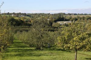 _MG_5785-vue-sur-l-autre-versant.jpg