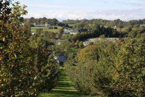 _MG_5787-le-paysage-que-les-coureurs-n-ont-pas-regarde.jpg