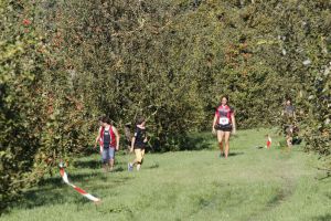 _MG_8746.jpg