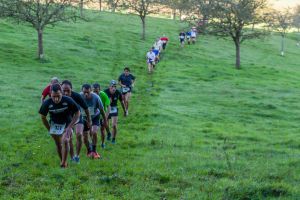 Trail4-47.jpg