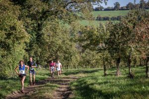 Trail-71.jpg