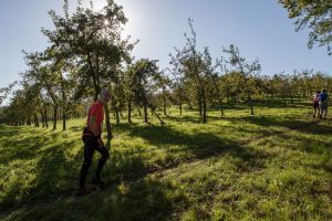 Trail4.jpg