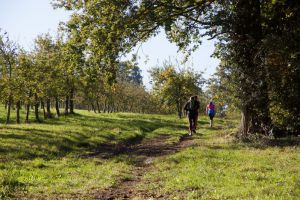Trail4-175.jpg