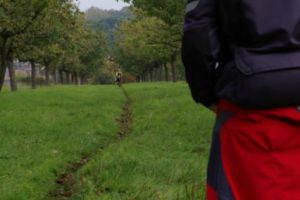 trail2015-423.jpg