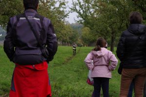trail2015-422.jpg