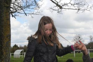 IMG_8273.jpg