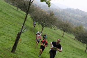 IMG_8642.jpg