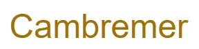 Logo 9