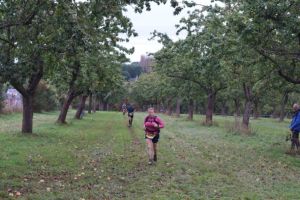 IMG_1229.JPG